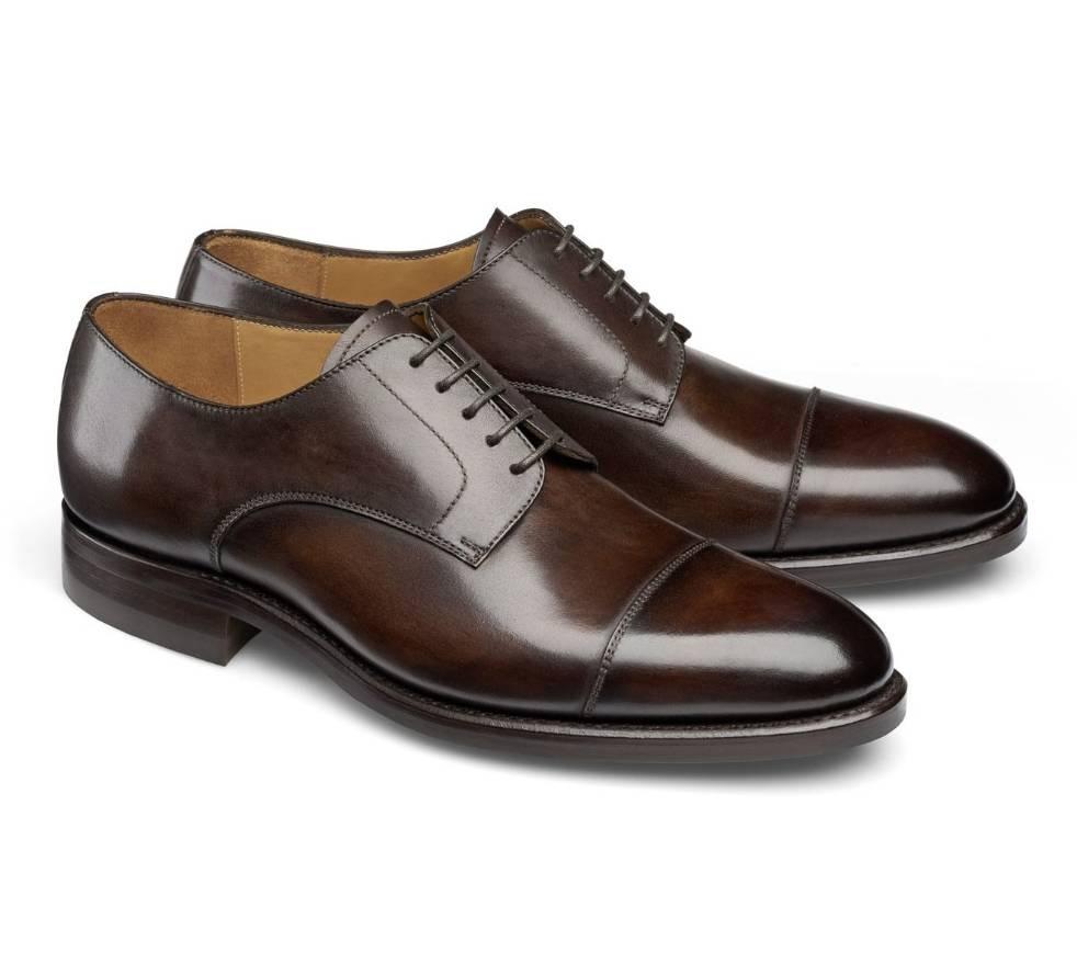 Derby Cap Toe Shoes - Gary Anilina Coimbra